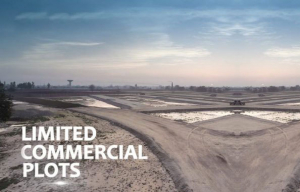 Commercial Plots